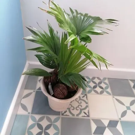 Appartement Chez Papi Minou